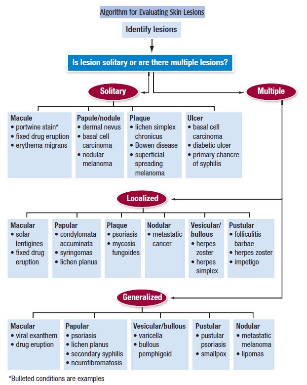 Dermatology Diagnosis Algorithm Skin Disease Spot Diagnosis