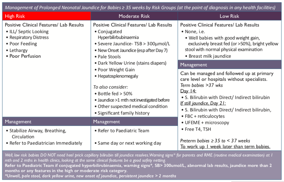 Prolonged Jaundice Management Paediatric Protocol