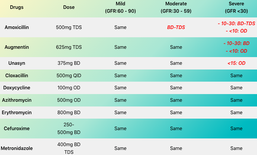 SetelDoc Antibiotic Renal Dose