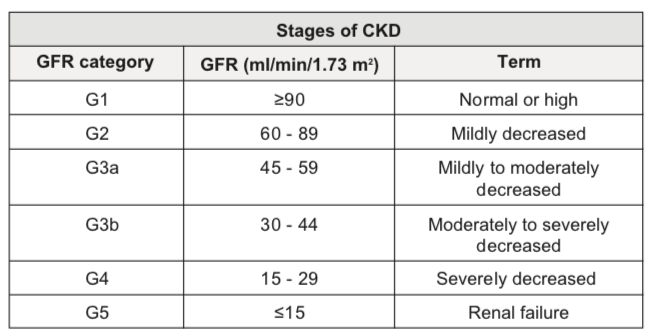 SetelDoc Chronic Kidney Disease Stages CKD