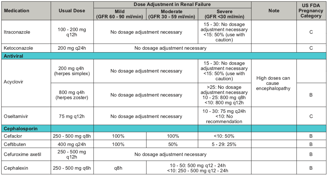 SetelDoc Renal Dose 5