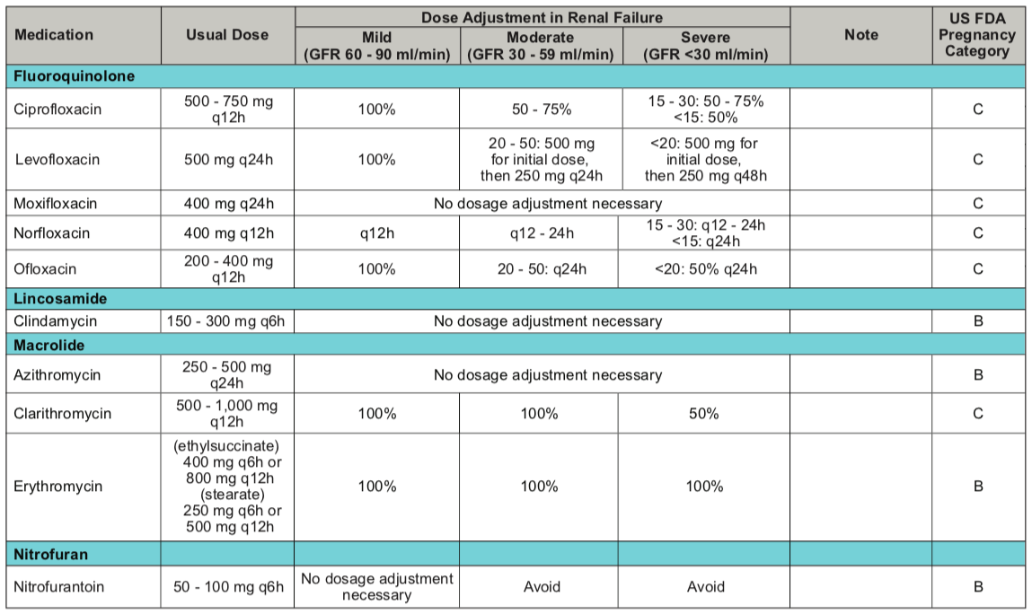 SetelDoc Renal Dose 6