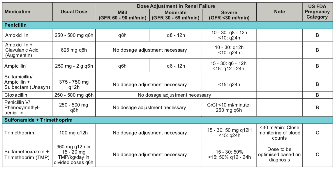 SetelDoc Renal Dose 7